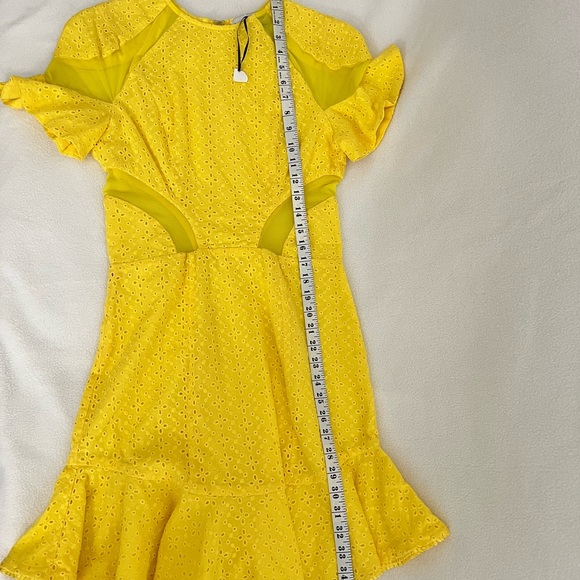 Karina Grimaldi Lila Eyelet Mini Dress Yellow Mesh Cut Outs - Picture 7 of 13